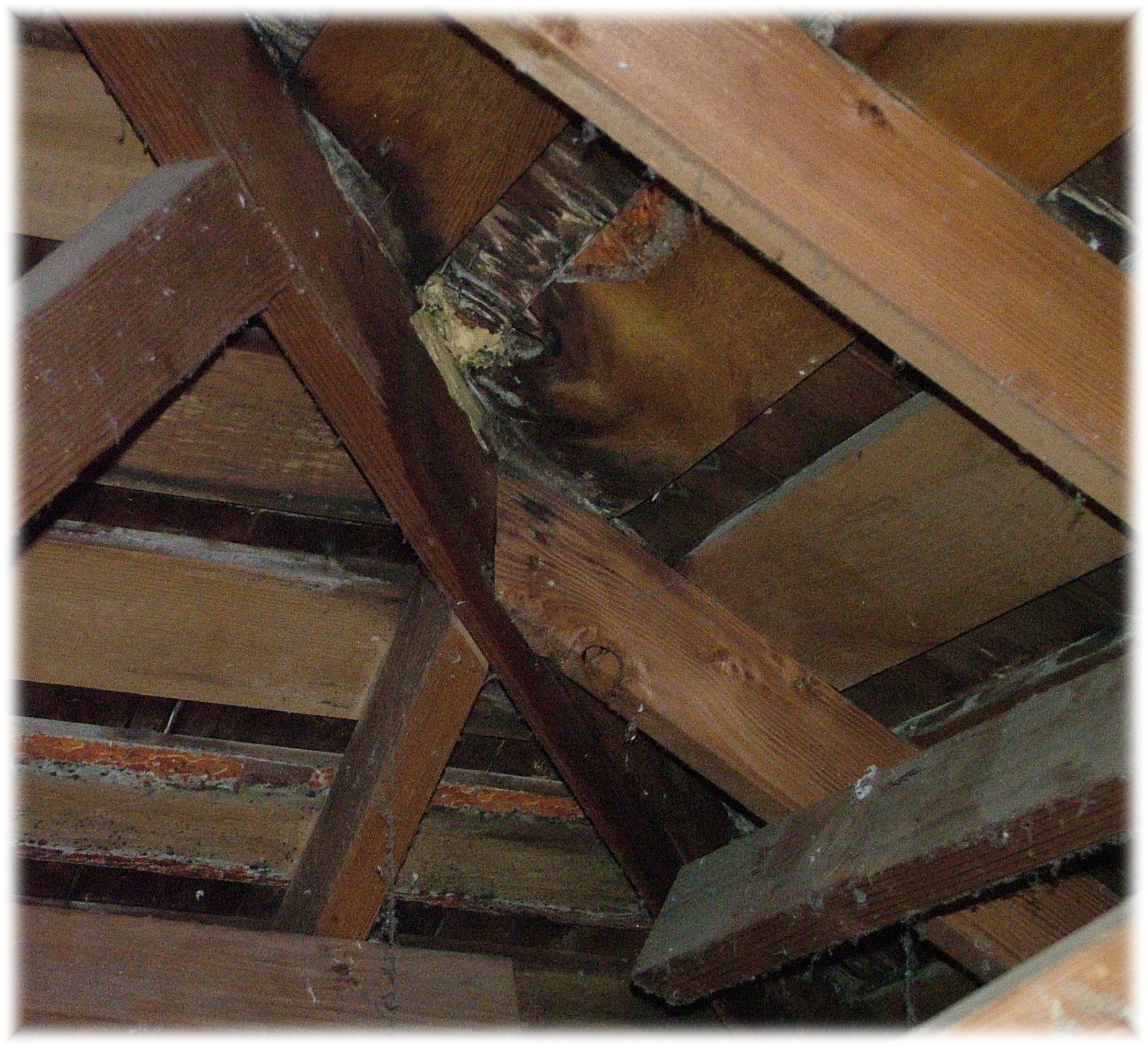 Lybeck Home Inspection Service - Roof Leak with Mold